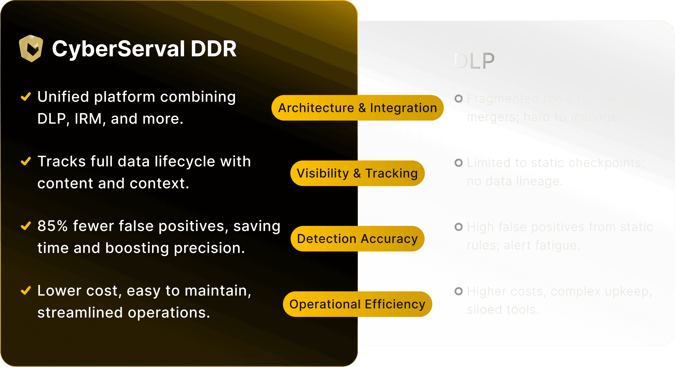 CyberServal DDR vs DLP